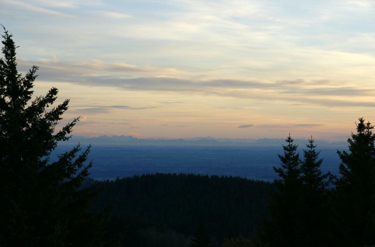 Alpenblick Apartman Sankt Englmar Kültér fotó